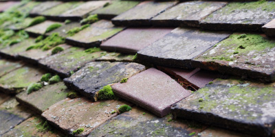 Newton Le Willows roof repair costs